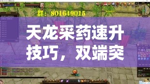 天龙采药速升技巧,双端突破瓶颈指南 天龙采药速升技巧,双端突破瓶颈指南