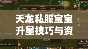 天龙私服宝宝升星技巧与资源获取 天龙私服宝宝升星技巧与资源获取