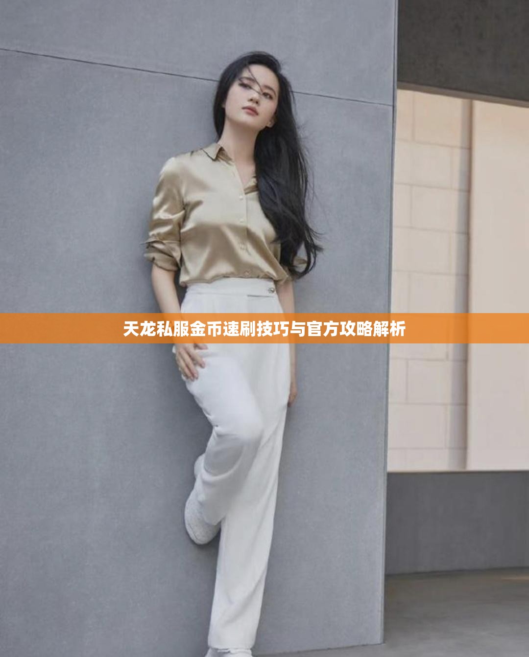 天龙私服金币速刷技巧与官方攻略解析 天龙私服金币速刷技巧与官方攻略解析