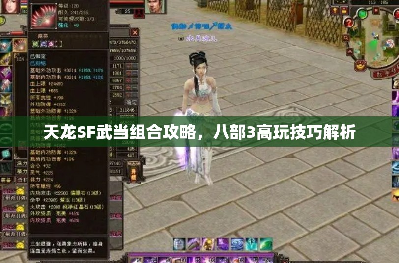天龙SF武当组合攻略,八部3高玩技巧解析 天龙SF武当组合攻略,八部3高玩技巧解析