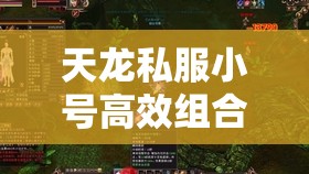 天龙私服小号高效组合攻略 天龙私服小号高效组合攻略