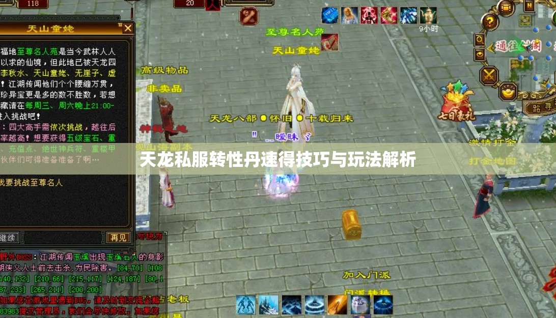 天龙私服转性丹速得技巧与玩法解析 天龙私服转性丹速得技巧与玩法解析